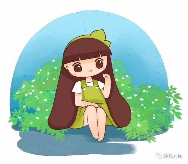 绿苏种子的种植方法是什么，绿苏是什么植物（1盆顶个百宝箱）