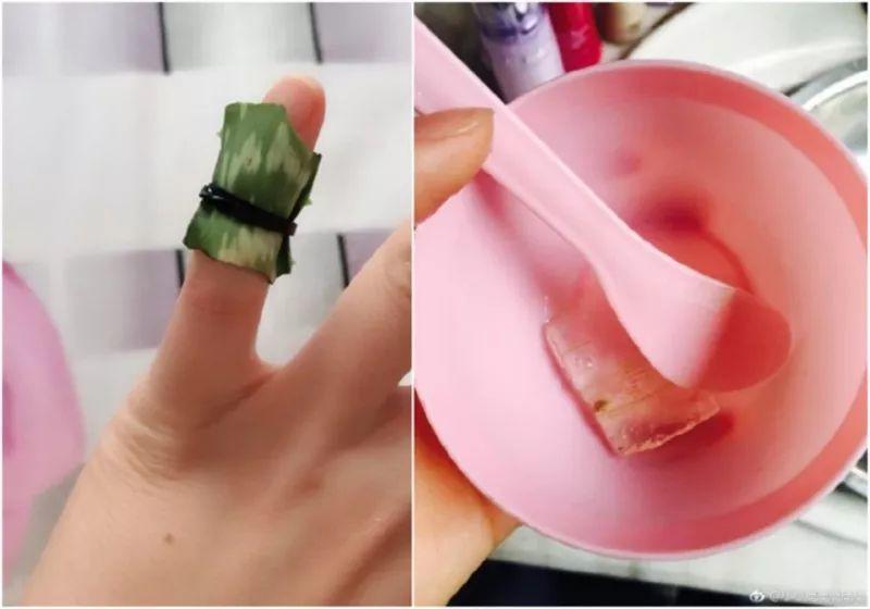 绿苏种子的种植方法是什么，绿苏是什么植物（1盆顶个百宝箱）