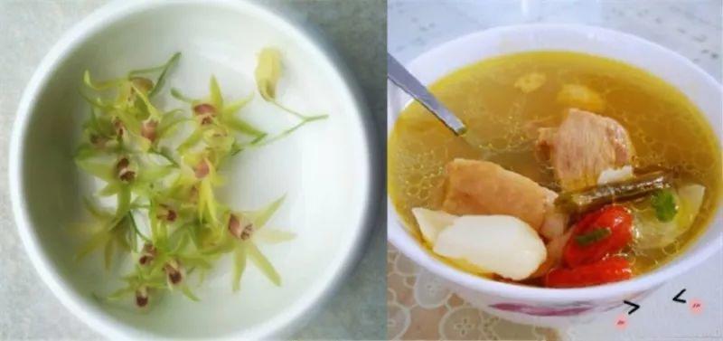 绿苏种子的种植方法是什么，绿苏是什么植物（1盆顶个百宝箱）