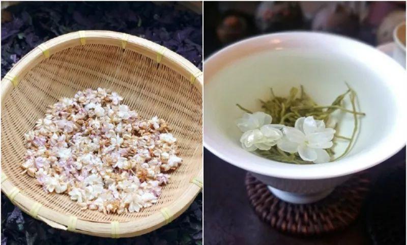 绿苏种子的种植方法是什么，绿苏是什么植物（1盆顶个百宝箱）