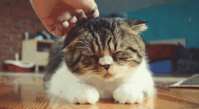 月亮落在水瓶座代表什么：理智且冷静，不依赖别人！（星座馆长教你判断月亮落入十二星座）