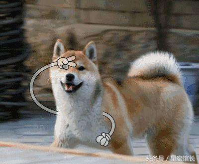 月亮落在水瓶座代表什么：理智且冷静，不依赖别人！（星座馆长教你判断月亮落入十二星座）