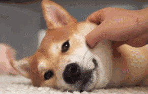 月亮落在水瓶座代表什么：理智且冷静，不依赖别人！（星座馆长教你判断月亮落入十二星座）