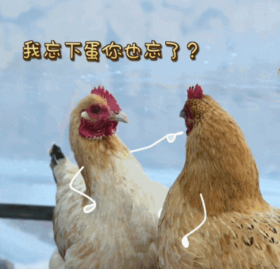 月亮落在水瓶座代表什么：理智且冷静，不依赖别人！（星座馆长教你判断月亮落入十二星座）