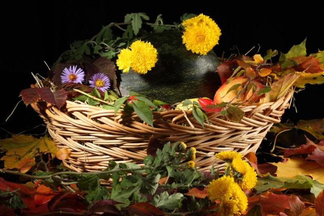 夏天吃西瓜的美句，夏天吃西瓜的句子（尝一口诗词里的西瓜）