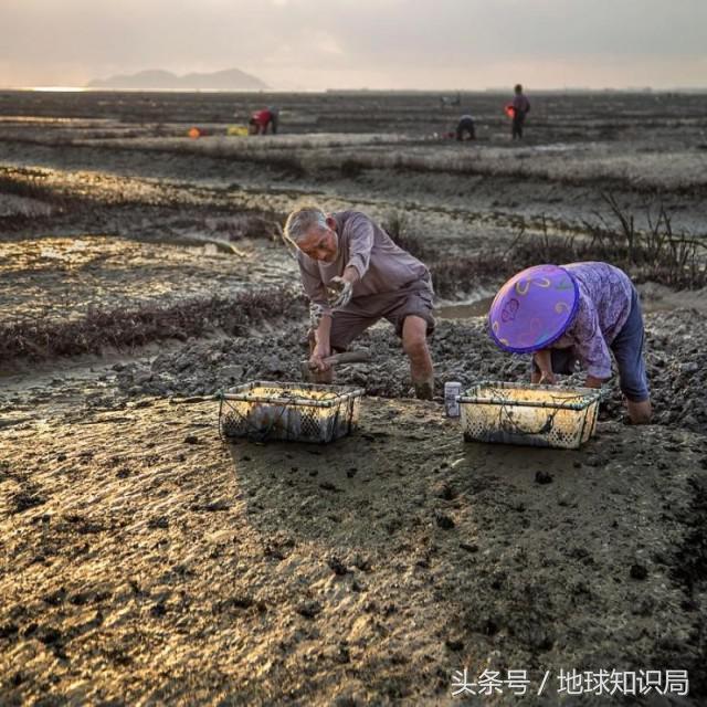 建国方略是什么字，建国方略打一字（不认识这些字可能影响你的生活）