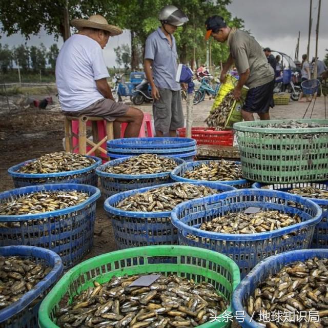 建国方略是什么字，建国方略打一字（不认识这些字可能影响你的生活）
