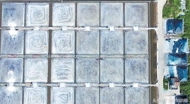 建国方略是什么字，建国方略打一字（不认识这些字可能影响你的生活）