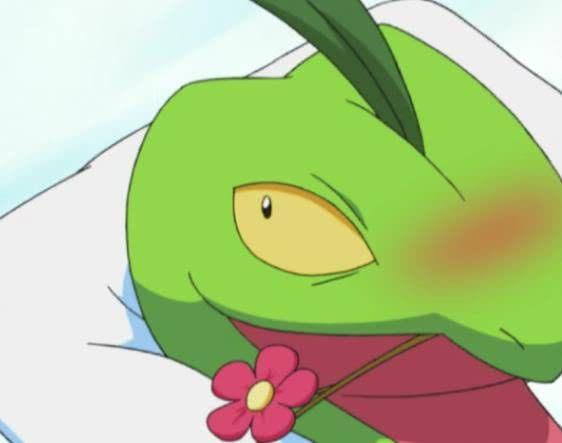 沙丘娃怎么进化，宠物小精灵进化全过程（神奇宝贝：进化从不靠经验值）