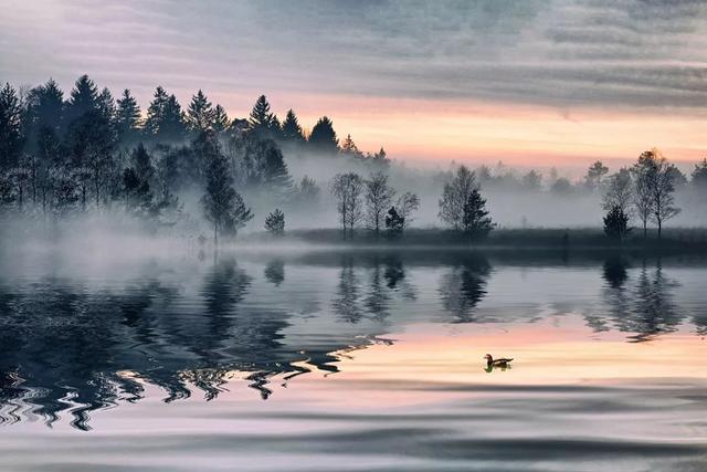 泪奔什么意思，泪崩什么意思（汉字能扎心到什么地步）