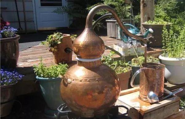 什么是水溶性香薰精油，香薰精油油溶性和水溶性哪个好（精油与纯露你用对了吗）