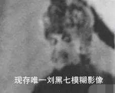 山东刘黑七简介，刘黑七简介（据说有72个老婆的刘黑七都有哪些恶行）