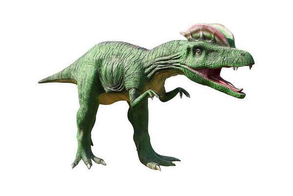 1,蛮龙:蛮龙也叫野蛮龙,蛮王龙,生活在侏罗纪晚期15300万年前的启莫里