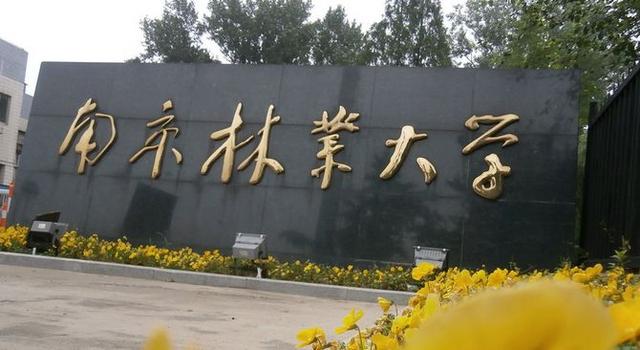为了双一流去南京林业大学值吗 为什么211不给南林，为了双一流去南京林业大学值吗（该校是三大林业大学之一）