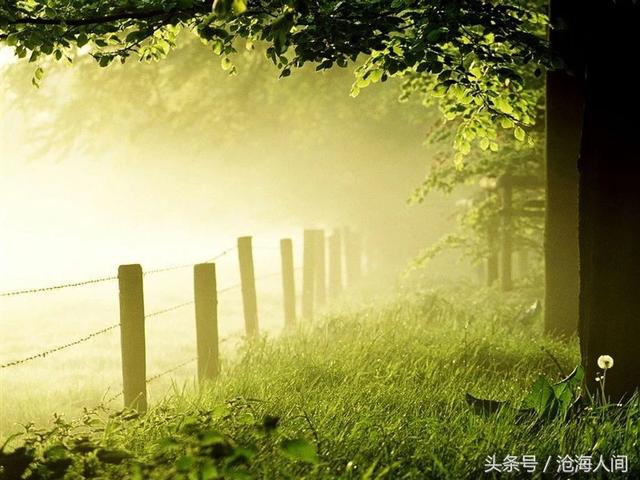 班得瑞雪之梦简谱，雪之梦钢琴曲（听班得瑞的曲子）