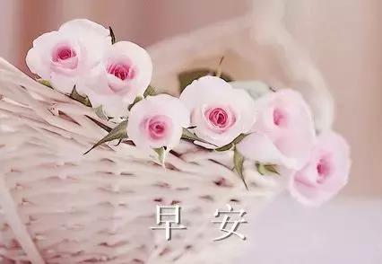 早安的唯美句子，温馨的早安唯美句子（早上好的说说句子）