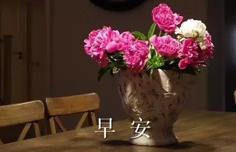 早安的唯美句子，温馨的早安唯美句子（早上好的说说句子）