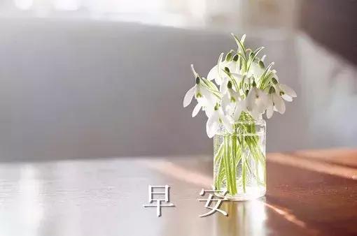 早安的唯美句子，温馨的早安唯美句子（早上好的说说句子）