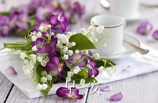 早安的唯美句子，温馨的早安唯美句子（早上好的说说句子）