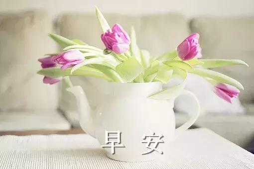 早安的唯美句子，温馨的早安唯美句子（早上好的说说句子）