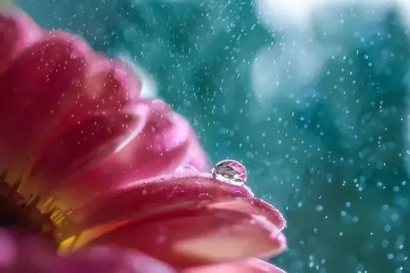 烟饼摄影烟饼怎么使用，拍摄用烟饼哪里可买到（这些摄影小东西）