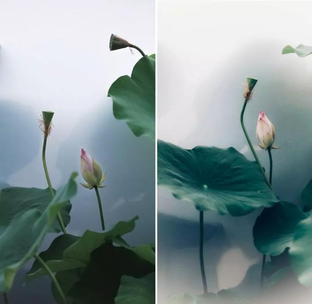 烟饼摄影烟饼怎么使用，拍摄用烟饼哪里可买到（这些摄影小东西）