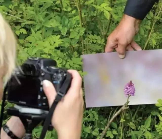 烟饼摄影烟饼怎么使用，拍摄用烟饼哪里可买到（这些摄影小东西）
