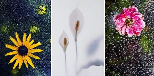 烟饼摄影烟饼怎么使用，拍摄用烟饼哪里可买到（这些摄影小东西）