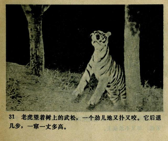 祝延平武松打虎第几集，经典83祝延平版电视剧《武松》第一集