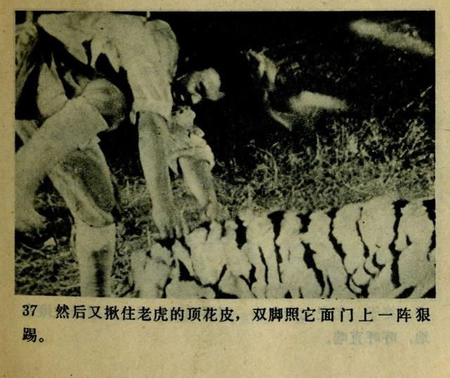 祝延平武松打虎第几集，经典83祝延平版电视剧《武松》第一集