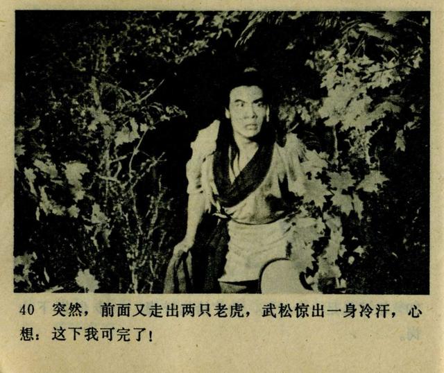 祝延平武松打虎第几集，经典83祝延平版电视剧《武松》第一集