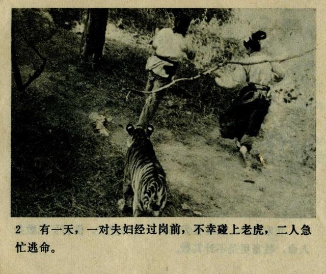 祝延平武松打虎第几集，经典83祝延平版电视剧《武松》第一集