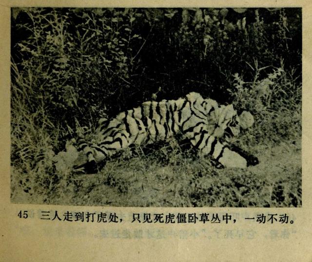 祝延平武松打虎第几集，经典83祝延平版电视剧《武松》第一集