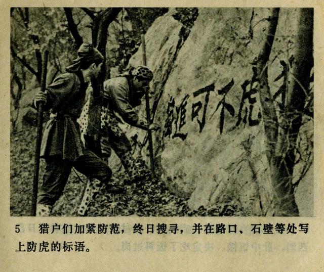 祝延平武松打虎第几集，经典83祝延平版电视剧《武松》第一集