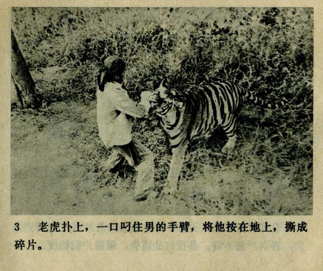 祝延平武松打虎第几集，经典83祝延平版电视剧《武松》第一集