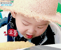 椰蓉的功效与作用，新鲜椰蓉的功效与作用（牛奶椰蓉小方糕）