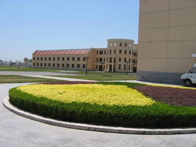 梦见自己进监狱了，梦见自己进监狱了是啥意思（和想象的有点不一样）