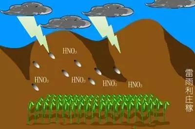 塞翁失马焉知非福是什么意思，塞翁失马焉知非福的意思是什么（“塞翁失马，焉知非福”）