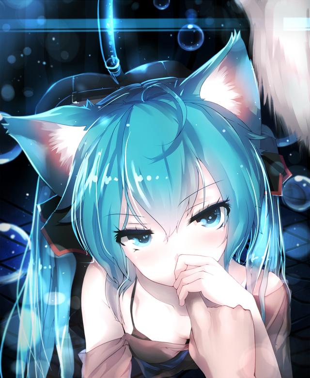 头像｜超可爱的猫耳少女微信，头像｜超可爱的猫耳少女（猫耳主题美图壁纸）