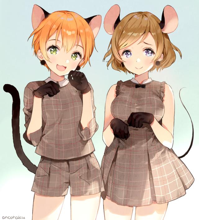 头像｜超可爱的猫耳少女微信，头像｜超可爱的猫耳少女（猫耳主题美图壁纸）
