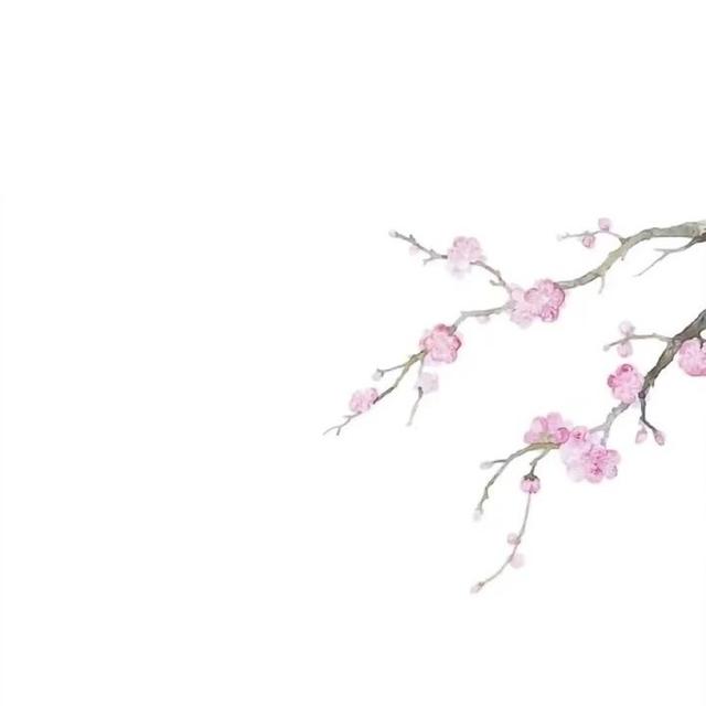 红小豆，微信头像，红小豆（女生漫画头像+背景‖那年桃夭）