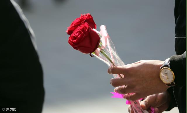 玫瑰花茶和什么搭配祛斑美白，玫瑰花和什么一起泡可以祛斑（中药传奇之“玫瑰花”——美容养颜佳品）