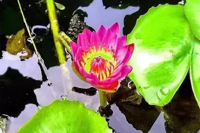 hdr是什么意思，电视hdr是什么意思（10个有9个都玩坏了）