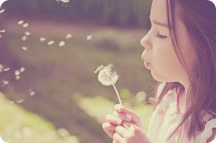 蒲公英，微信头像，蒲公英（女孩吹蒲公英图片唯美好看最新版）