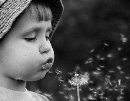 蒲公英，微信头像，蒲公英（女孩吹蒲公英图片唯美好看最新版）