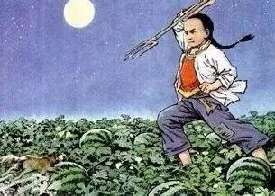 猹是什么动物，猹是什么动物怎么读（鲁迅笔下的“猹”到底是什么动物）