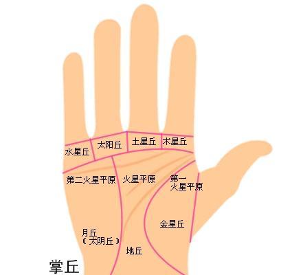 手相怎么看财运,看手相免费测试(一生有没有财运 看手就知道)