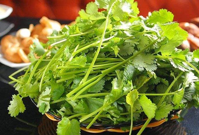 女性常吃香菜的好处,常吃香菜的好处和坏处 - 珍缘易学