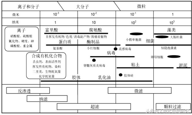 生物膜包括哪些，生物膜有哪些（膜的基础知识<上>）