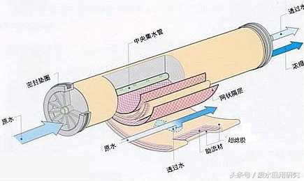 生物膜包括哪些，生物膜有哪些（膜的基础知识<上>）